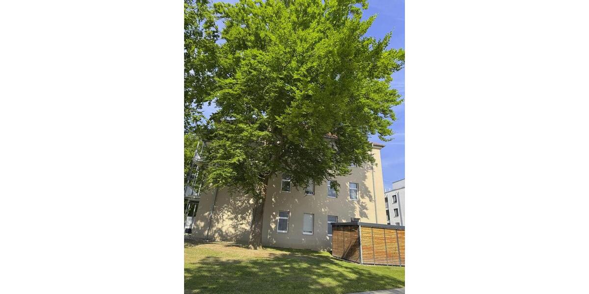 Etagenwohnung Amberg - 1 Zimmer, 55 m&sup2;, 695&euro; | Angebot:26648222