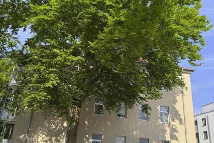 Wohnung Amberg - 1 Zimmer, 55 m&sup2;, 695&euro; | Angebot:26648222