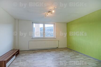 BIGKs - Zella-Mehlis: 4 Zimmer Wohnung,separate Küche, Wannenbad (-;) - Wohnung Zella-Mehlis Zella | Angebot:27191567