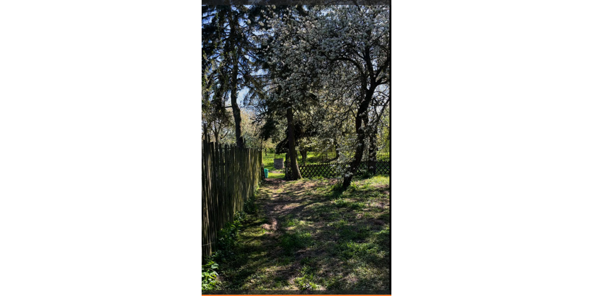 Wohnen auf Zeit Weida - 1 Zimmer, 45 m&sup2;, 250&euro; | Angebot:24695815