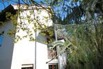 Dachgeschoßwohnung Zell - 3 Zimmer, 73 m&sup2;, 482&euro; | Angebot:26489973
