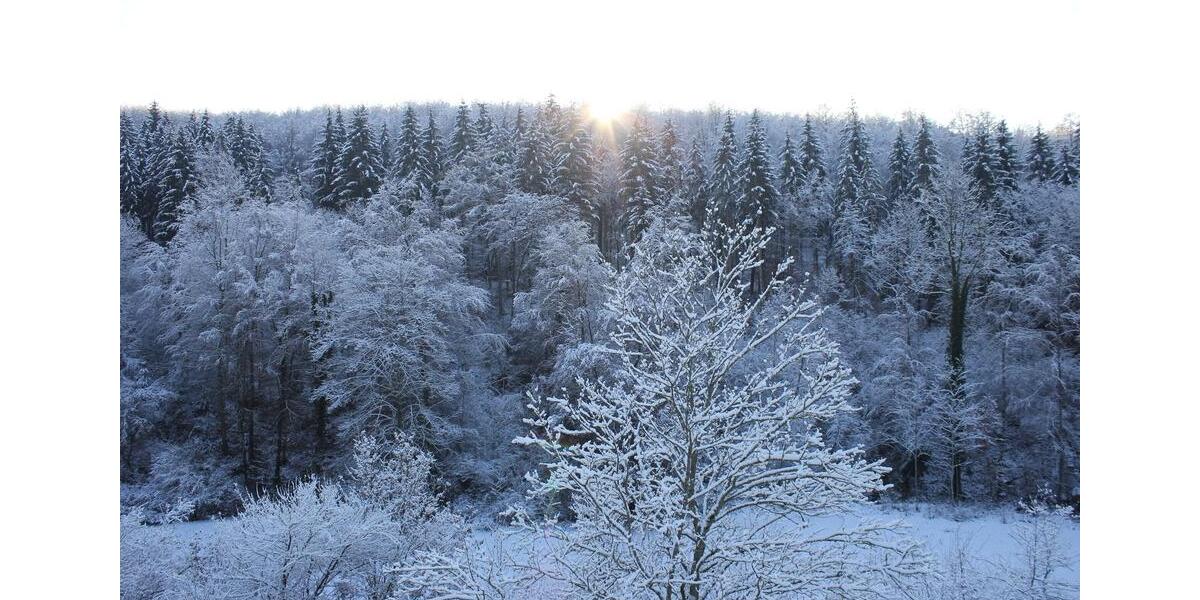 Etagenwohnung Uhingen - 2 Zimmer, 45 m&sup2;, 750&euro; | Angebot:26008066