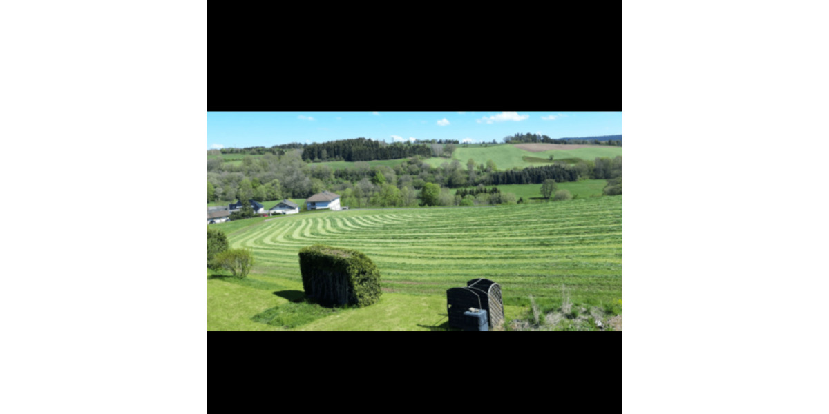 Etagenwohnung Stadtkyll - 4 Zimmer, 85 m&sup2;, 890&euro; | Angebot:24974264