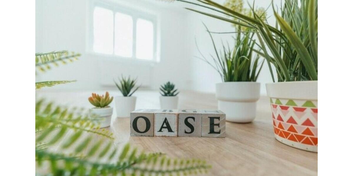 Etagenwohnung Magdeburg Alt Olvenstedt - 3 Zimmer, 68 m&sup2;, 375&euro; | Angebot:26235255