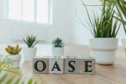 Wohnung Magdeburg Alt Olvenstedt - 3 Zimmer, 68 m&sup2;, 375&euro; | Angebot:26235255