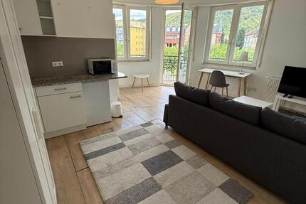 Wohnung Heidelberg Boxberg - 1 Zimmer, 30 m&sup2;, 850&euro; | Angebot:26272296