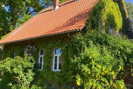 Charmantes, großzügiges Haus in der östlichen Lüneburger Heide 6 zimmer