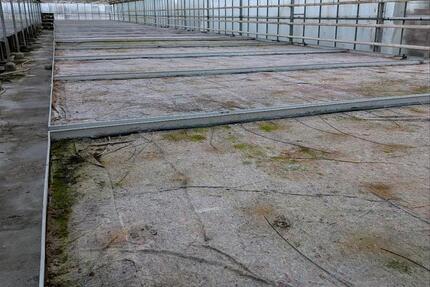 Gewächshaus zu Vermieten Treibhaus zimmer