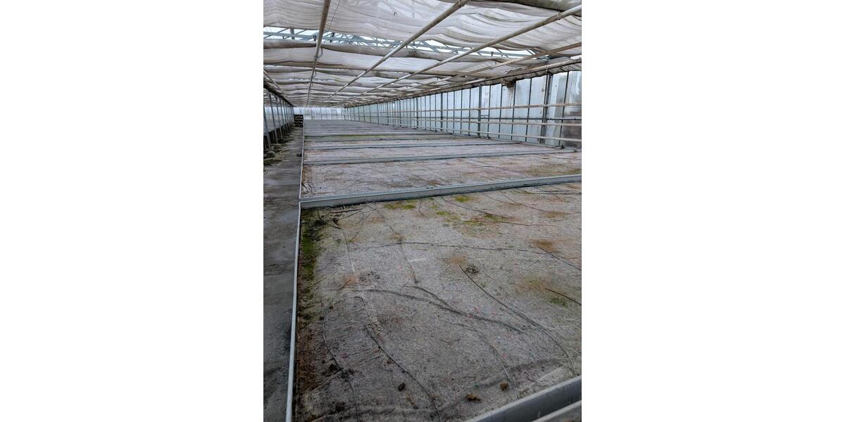 Gewächshaus zu Vermieten Treibhaus zimmer