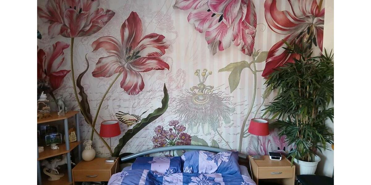 Nachmieter 2 Raum Wohnung Magdeburg Hopfengarten 2 zimmer