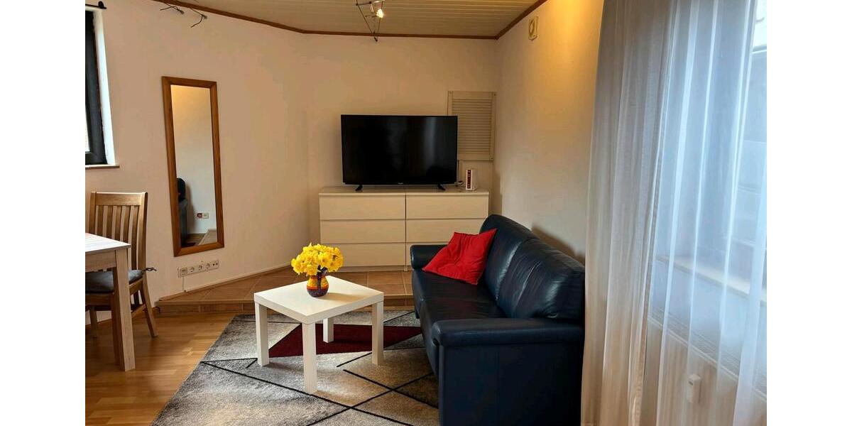 Erdgeschoßwohnung Waldalgesheim - 1 Zimmer, 39 m&sup2;, 400&euro; | Angebot:26045204