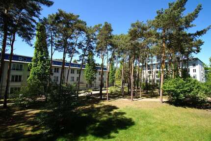 Wohnung Jessen (Elster) - 4 Zimmer, 109 m&sup2;, 695&euro; | Angebot:26215199