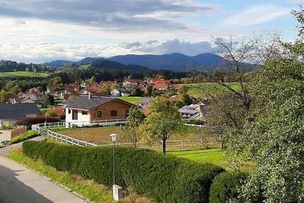 Wohnung Frauenau Dörfl - 2 Zimmer, 55 m&sup2;, 470&euro; | Angebot:24587136