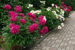 Etagenwohnung Aßlar - 3 Zimmer, 90 m&sup2;, 950&euro; | Angebot:26705438