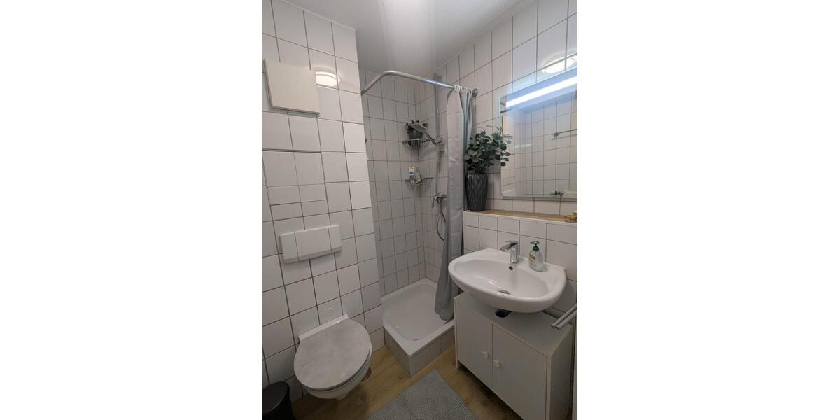 Wohnen auf Zeit Heidelberg Pfaffengrund - 1 Zimmer, 34 m&sup2;, 1.200&euro; | Angebot:22649222