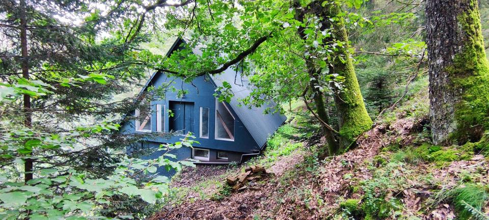 Einfamilienhaus Lauterbach - 3 Zimmer, 150 m&sup2;, 1.000&euro; | Angebot:20970242