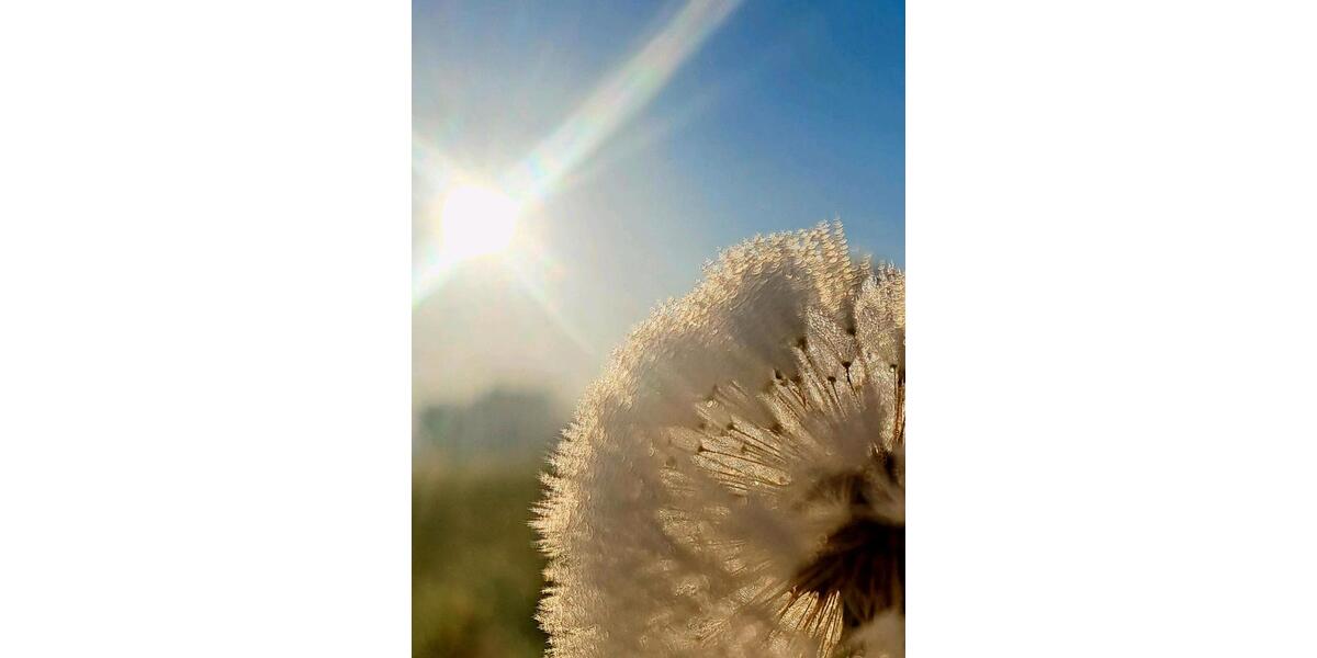 Einfamilienhaus Mühldorf am Inn - 4 Zimmer, 100 m&sup2;, 1.000&euro; | Angebot:26021985