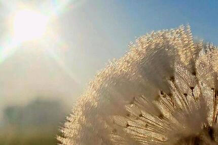 Haus Mühldorf am Inn - 4 Zimmer, 100 m&sup2;, 1.000&euro; | Angebot:26021985