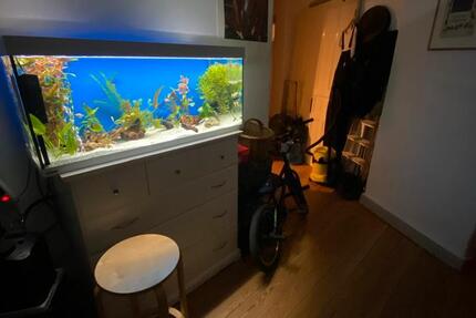 WG Zimmer 25 m² Altona neue Mitte zimmer