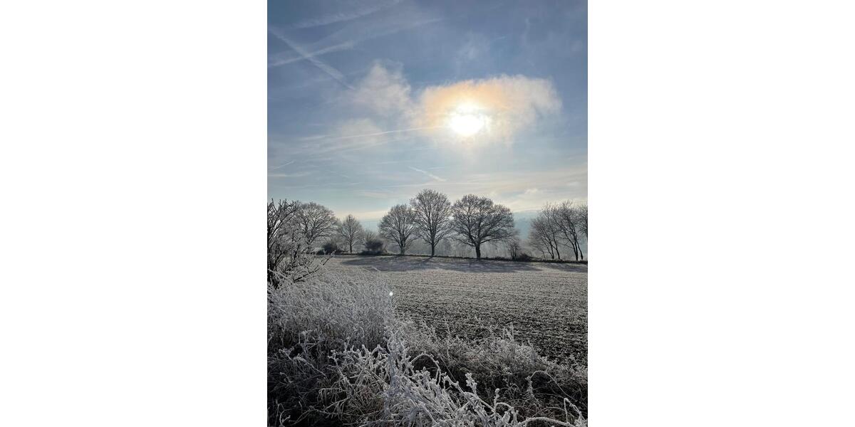 Dachgeschoßwohnung Bad Hersfeld - 2 Zimmer, 50 m&sup2;, 450&euro; | Angebot:25932501