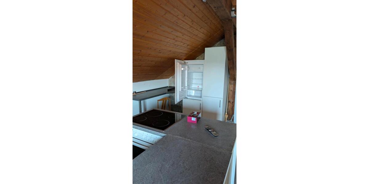 Dachgeschoßwohnung Hochdorf - 4 Zimmer, 110 m&sup2;, 950&euro; | Angebot:25840398