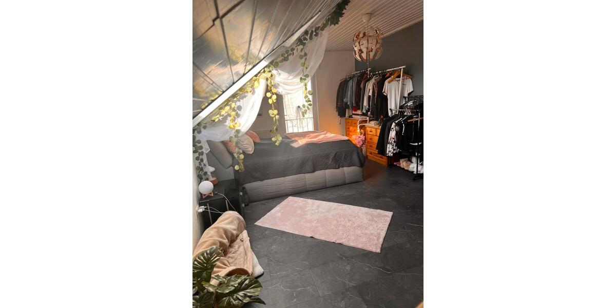 Dachgeschoßwohnung Edertal - 2 Zimmer, 50 m&sup2;, 450&euro; | Angebot:25378047