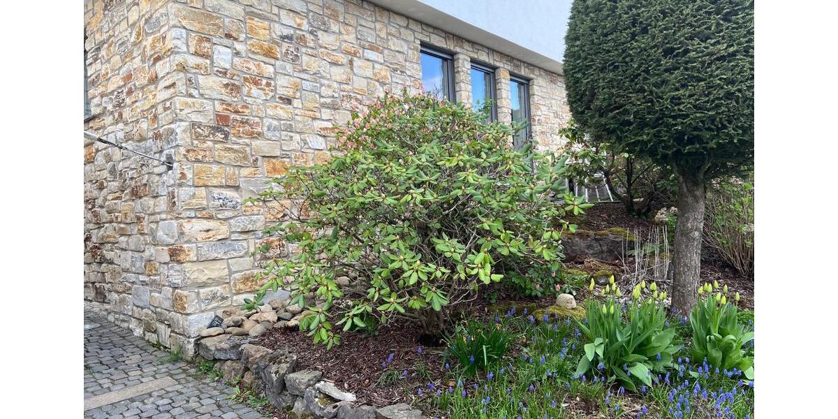 Erdgeschoßwohnung Lübbecke - 4 Zimmer, 105 m&sup2;, 980&euro; | Angebot:26300613