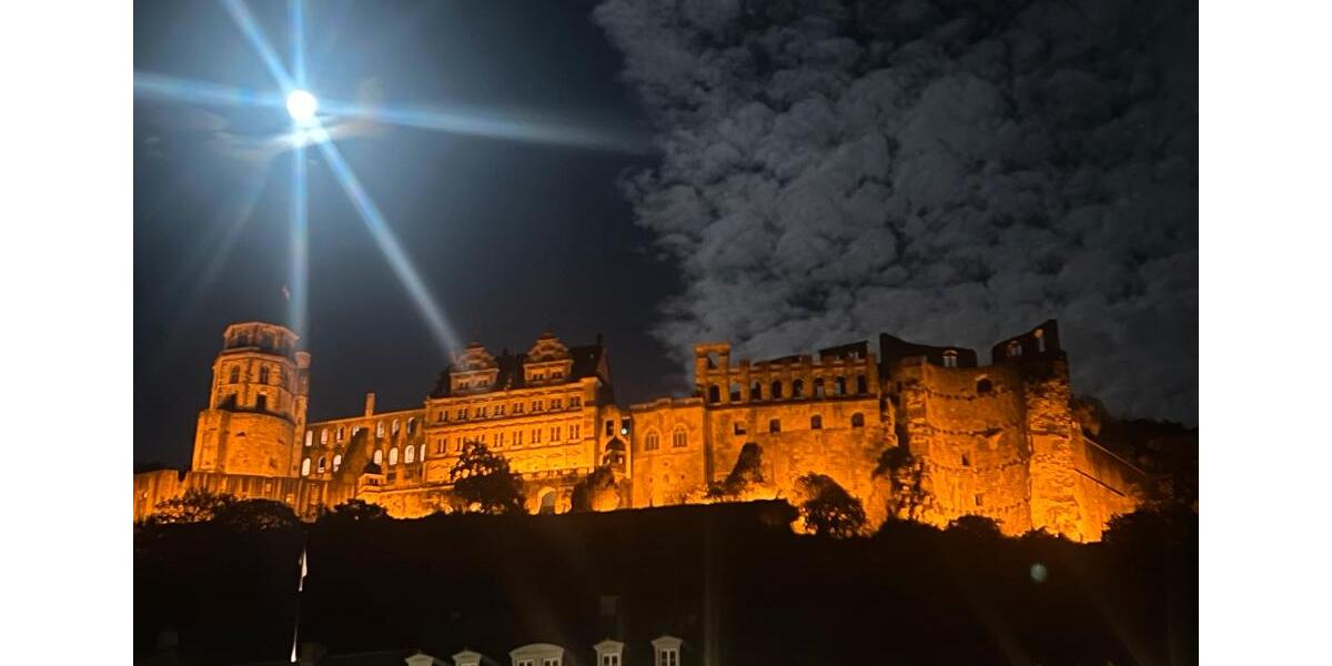 Wohnen auf Zeit Heidelberg Peterstal - 6 Zimmer, 12 m&sup2;, 475&euro; | Angebot:25270624