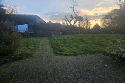 5 Zimmerwohnung 5 zimmer