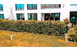 Erdgeschoßwohnung Bamberg Gereuth - 3 Zimmer, 80 m&sup2;, 1.230&euro; | Angebot:26425702
