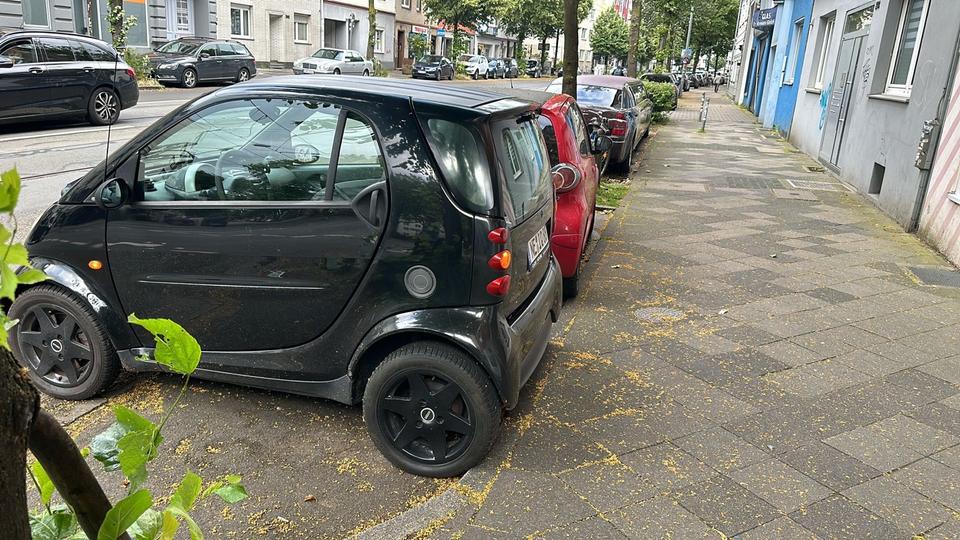 Gewerbeobjekt Neuss - 1.500&euro; | Angebot:26189337
