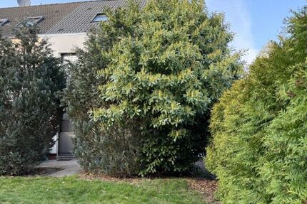 REH Einfamilienhaus mit Terasse, Garten, Gartenhaus in TOP-Lage: ruhig, sonnig, grün - Haus Dietzenbach | Angebot:25908497