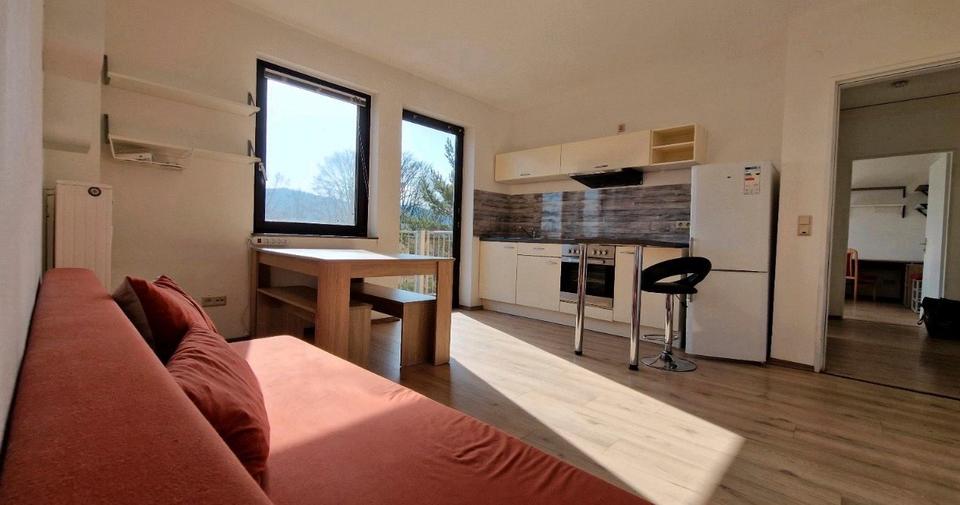 Etagenwohnung Hoppstädten-Weiersbach Weiersbach - 1 Zimmer, 45 m&sup2;, 400&euro; | Angebot:25964559