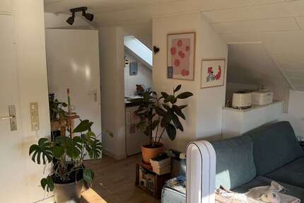 Wohnung Mainz Mombach - 1.5 Zimmer, 35 m&sup2;, 390&euro; | Angebot:26765597