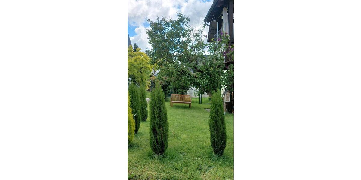 Etagenwohnung Birkenfeld - 2 Zimmer, 87 m&sup2;, 890&euro; | Angebot:26582438