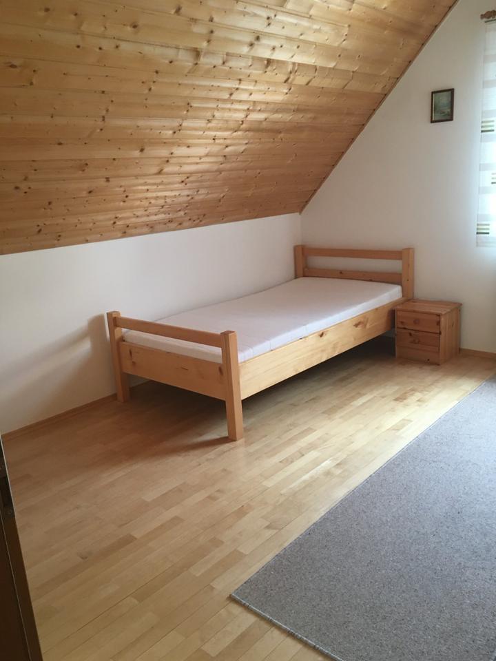 Schönes helles EinZimmerappartement