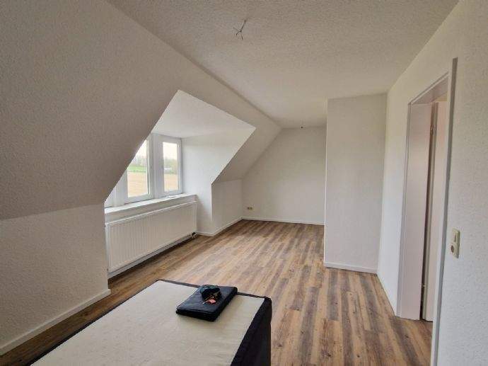 Etagenwohnung Leisnig Kroptewitz - 2 Zimmer, 55 m&sup2;, 295&euro; | Angebot:25996861