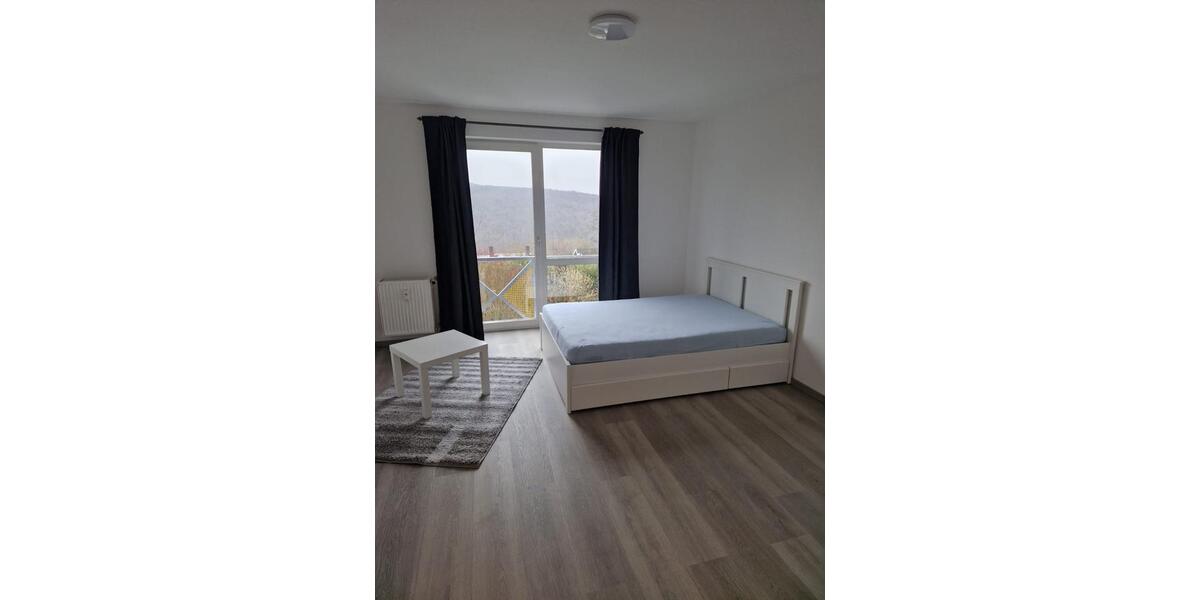 Etagenwohnung Siegen Weidenau - 1 Zimmer, 26 m&sup2;, 450&euro; | Angebot:24869995