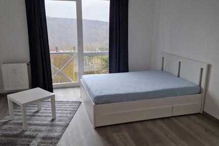 Wohnung Siegen Weidenau - 1 Zimmer, 26 m&sup2;, 450&euro; | Angebot:24869995