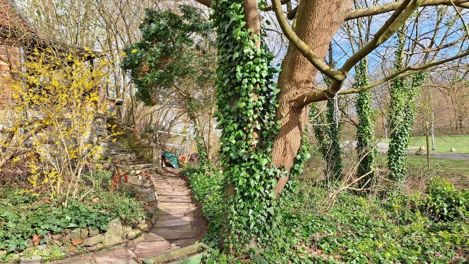 Etagenwohnung Lehre - 4 Zimmer, 115 m&sup2;, 865&euro; | Angebot:26038981