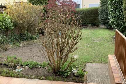 Haus Mainz-Kostheim Kostheim - 5 Zimmer, 130 m&sup2;, 1.750&euro; | Angebot:25888862