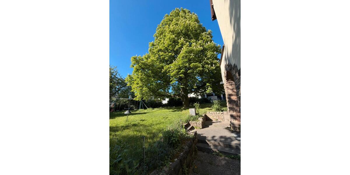 Erdgeschoßwohnung Offstein - 2 Zimmer, 82 m&sup2;, 850&euro; | Angebot:26348892