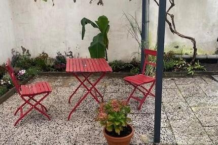 ruhige 2 Zimmerwohnung mit Hinterhofterrasse, ideal für Person mit Spaß an Pflanzen zimmer