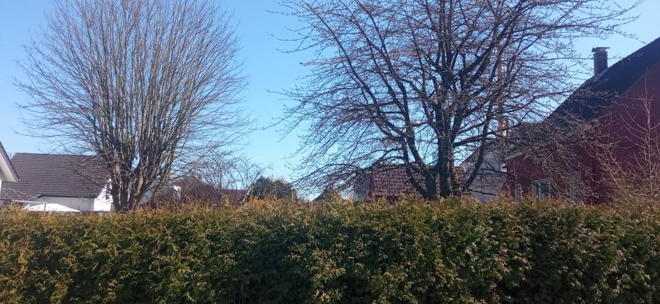 Dachgeschoßwohnung Spenge - 1 Zimmer, 45 m&sup2;, 400&euro; | Angebot:25784134