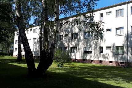 Wohnung Berlin Falkenhagener Feld - 2.5 Zimmer, 62 m&sup2;, 899&euro; | Angebot:26766373