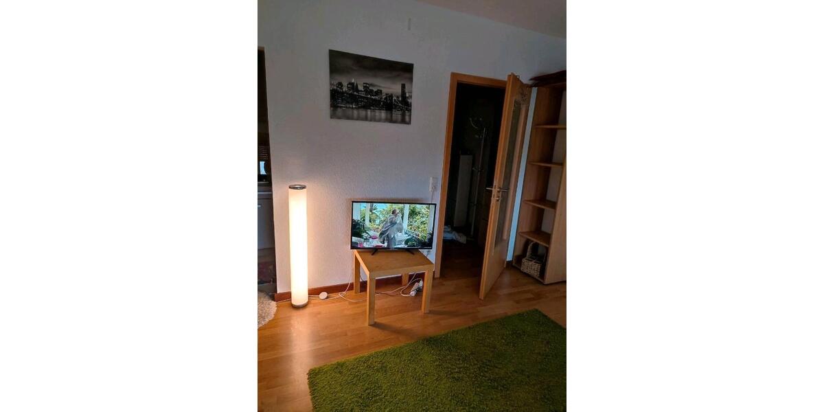 Wohnen auf Zeit Veitshöchheim - 1 Zimmer, 38 m&sup2;, 950&euro; | Angebot:26580928