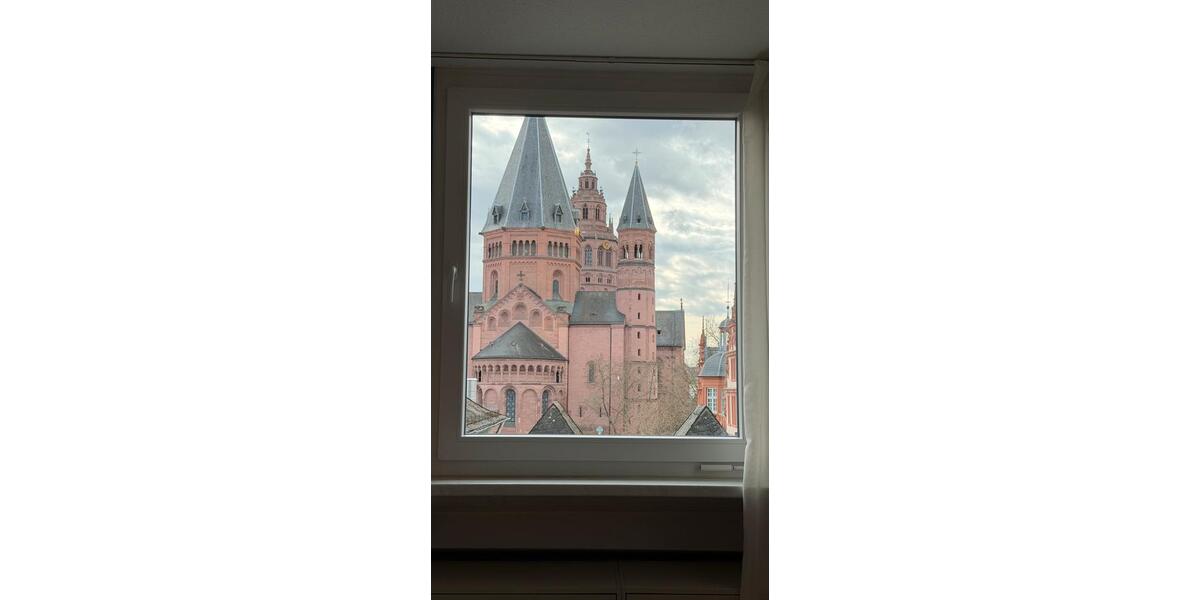 Dachgeschoßwohnung Mainz - 2 Zimmer, 45 m&sup2;, 990&euro; | Angebot:25724893