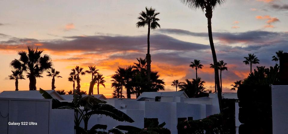 Erdgeschoßwohnung Berlin Reinickendorf - 1 Zimmer, 45 m&sup2;, 1.560&euro; | Angebot:26029805