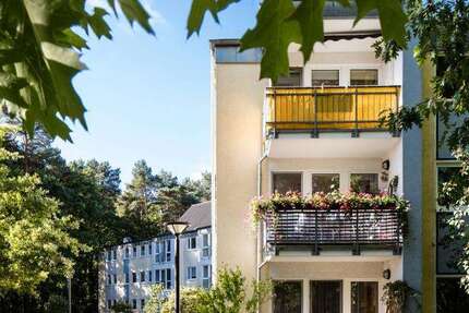 Wohnung Brandenburg an der Havel Görden - 2 Zimmer, 49 m&sup2;, 338&euro; | Angebot:26086342
