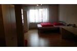 Wohnen auf Zeit Ehingen (Donau) - 1 Zimmer, 13 m&sup2;, 250&euro; | Angebot:14556238